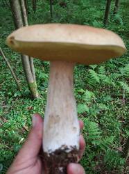 IMG_20250819_155047.jpg