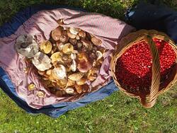 IMG_20250819_163207_566.jpg