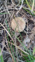 IMG_20250819_172043.jpg