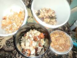 IMG_20250820_001228.jpg