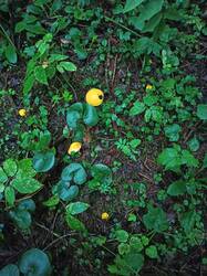 IMG_20250820_042645.jpg