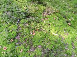 IMG_20250820_083006.jpg