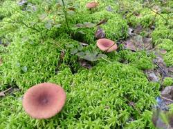 IMG_20250820_083012.jpg