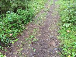IMG_20250820_085336.jpg