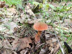 IMG_20250820_114357.jpg