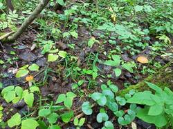 IMG_20250820_123948.jpg