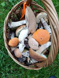 IMG_20250820_175453.jpg