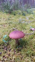 IMG_20250821_143014.jpg