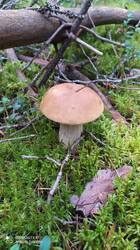 IMG_20250821_143456.jpg