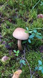 IMG_20250821_143911.jpg