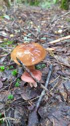 IMG_20250821_144134.jpg