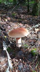 IMG_20250821_144653.jpg