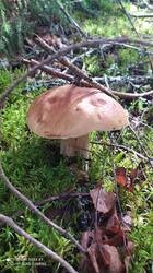 IMG_20250821_145918.jpg