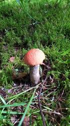 IMG_20250821_150005.jpg