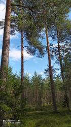 IMG_20250821_152429.jpg