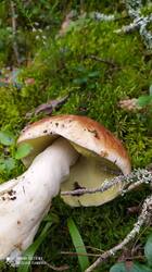 IMG_20250821_153015.jpg