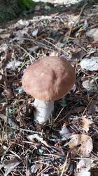 IMG_20250821_153358.jpg