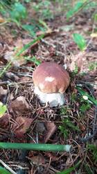 IMG_20250821_154518.jpg