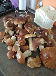 IMG_20250821_172616.jpg