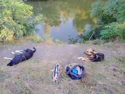 IMG_20250821_180506_866.thumb.jpg.7fccd037e40716d27916059b006c4c70.jpg