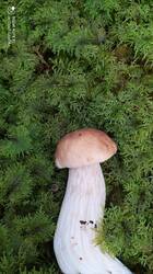 IMG_20250821_184048.jpg