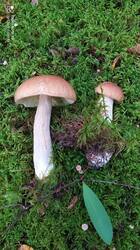 IMG_20250821_184103.jpg