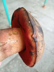 IMG_20250821_215811_213.thumb.jpg.0d5dc322dbdbfc548022be37c2e3ef6b.jpg