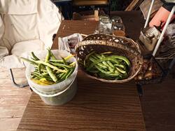 IMG_20250822_130712.thumb.jpg.f71eeb6b6830799f2ecb873e556a25ba.jpg