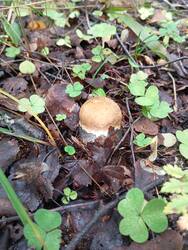IMG_20250822_140755.thumb.jpg.ea50a06021b32d3d9445e0544f8fe71a.jpg