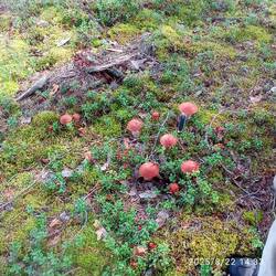 IMG_20250822_143333.jpg