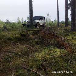 IMG_20250822_143341.jpg