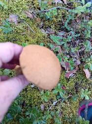 IMG_20250822_172200.jpg