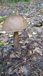 IMG_20250822_175617.jpg