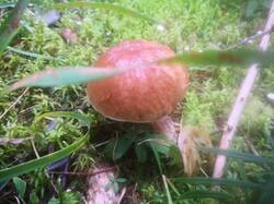 IMG_20250823_075948.jpg