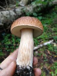 IMG_20250823_082759.jpg