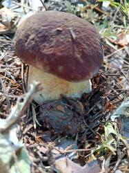 IMG_20250823_104438.jpg
