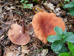 IMG_20250823_120136.jpg
