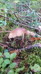 IMG_20250823_125335.jpg