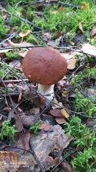 IMG_20250823_131159.jpg