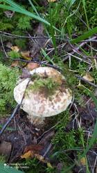IMG_20250823_133539.jpg