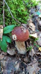 IMG_20250823_134854.jpg