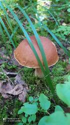 IMG_20250823_140015.jpg