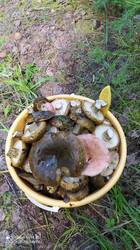 IMG_20250823_141608.jpg