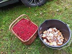 IMG_20250823_150517.jpg