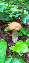 IMG_20250823_150641.jpg