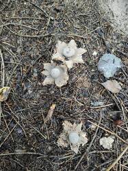 IMG_20250823_151758.jpg