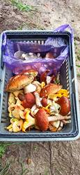 IMG_20250823_174736.jpg