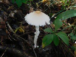IMG_20250823_185621.jpg