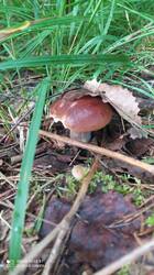 IMG_20250824_084414.jpg