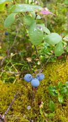IMG_20250824_112814.jpg